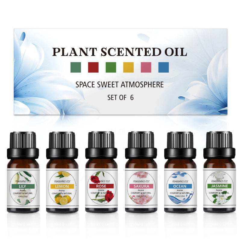 Water-Soluble Plant Essential Oil Set – 6/8/12 Bottles | Aromatherapy Diffuser Oils